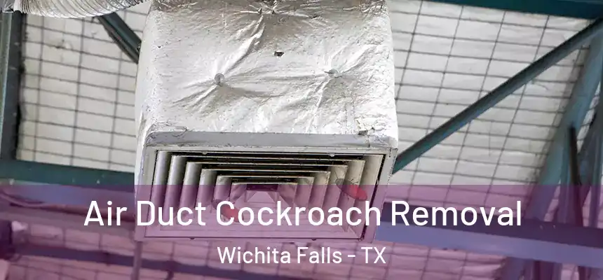  Air Duct Cockroach Removal Wichita Falls - TX