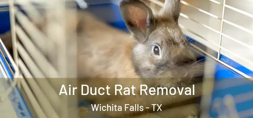  Air Duct Rat Removal Wichita Falls - TX
