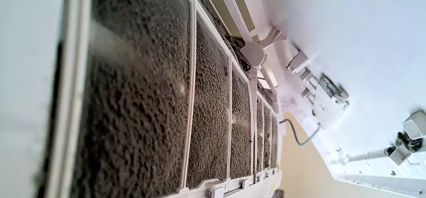 Preventive Air Duct Bacteria Removal in Wichita Falls