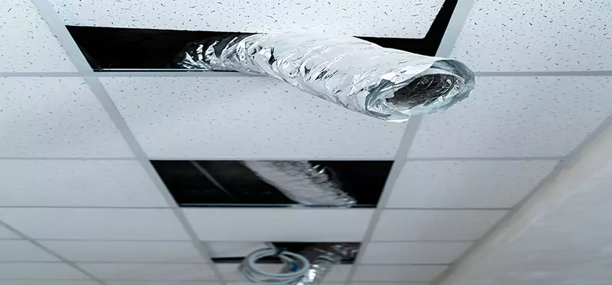 Our Air Duct Pet Hair Removal Services in Wichita Falls, TX