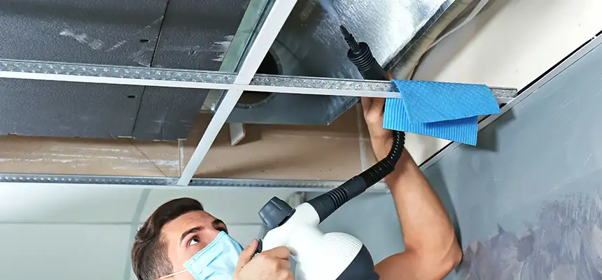 Our Air Duct Rodent Removal Services in Wichita Falls, TX