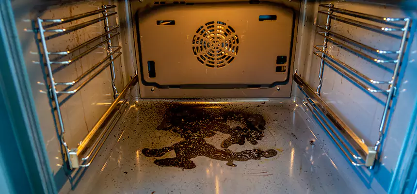 Our Dryer Vent Mold Cleaning Services in Wichita Falls, TX