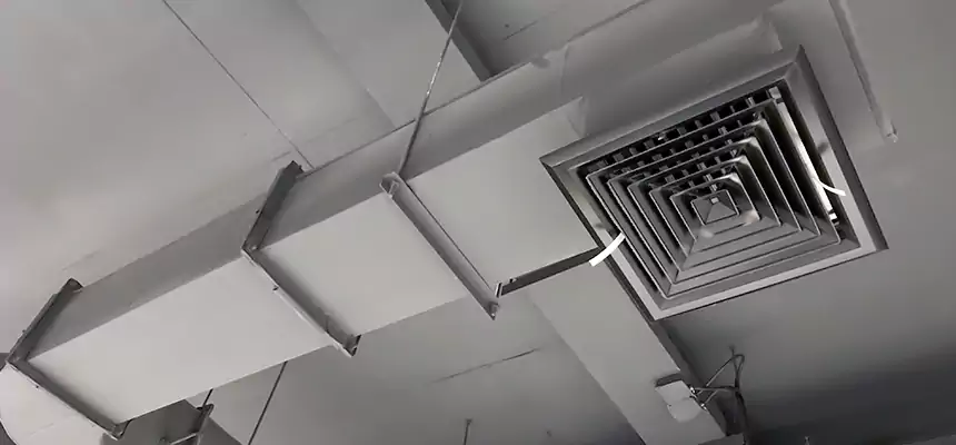 Our Pest Removal From Ducts Services in Wichita Falls, TX