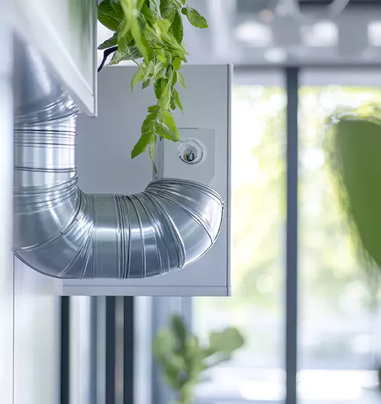 Professional Eco-Safe Dryer Vent Cleaning in Wichita Falls, TX