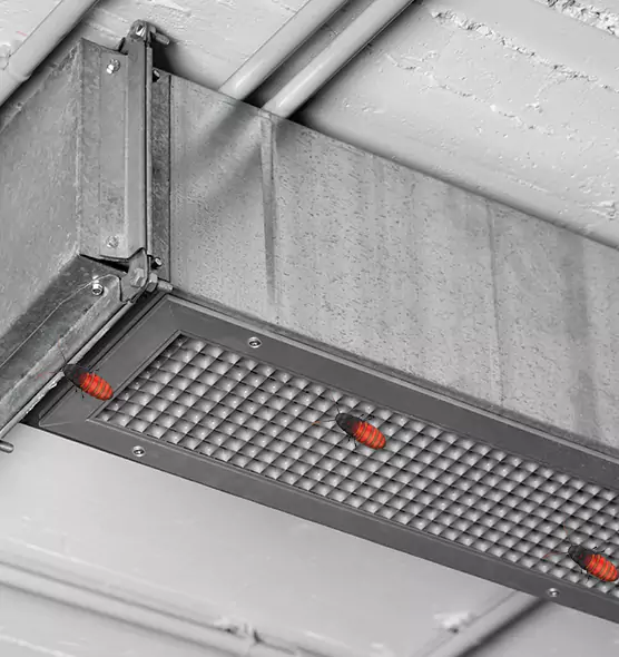 Affordable Insect Removal from Air Ducts in Wichita Falls, TX