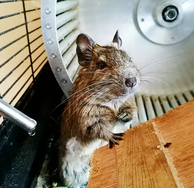 Why Homeowners & Businesses Trust Us Wichita Falls, TX?